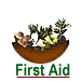 Ayurveda First Aid