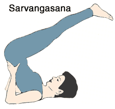 sarvangasana