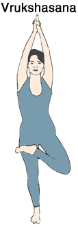 vrukshasana