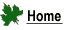 home_button.gif (367 bytes)