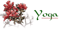 yoga.gif (4127 bytes)